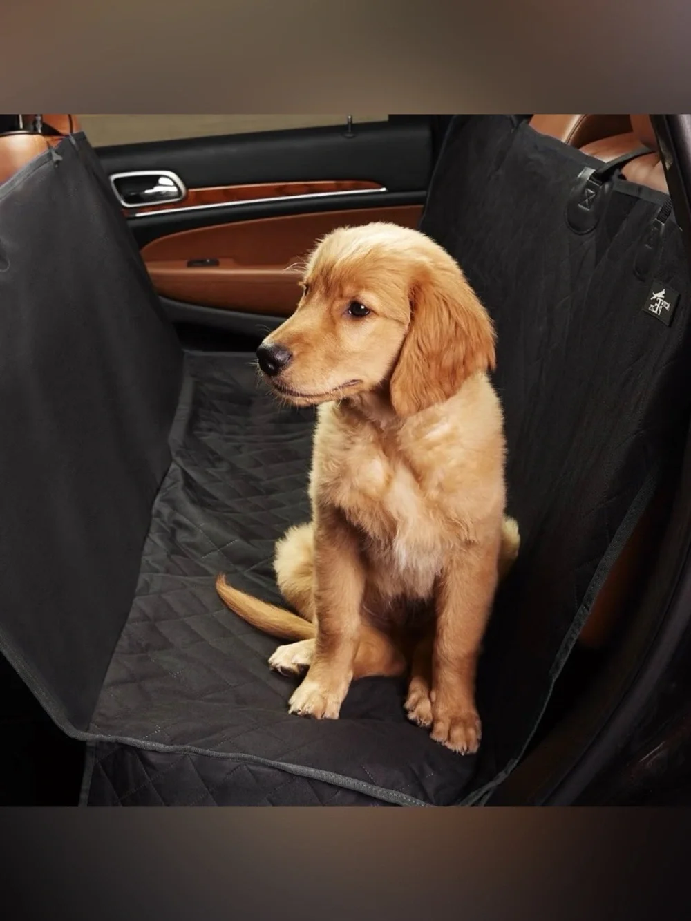 Active Pets Black Dog Car Hammock Backseat Cover - 53x56, Excellent Condition